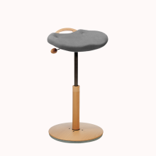 Moizi 16 mit Holzverkleidung